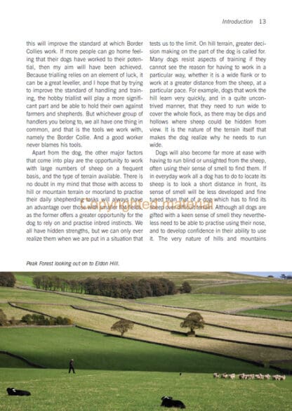 Sheepdog Training and Trials