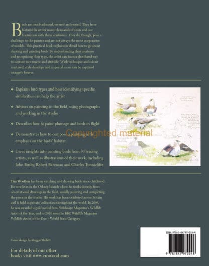 Drawing and Painting Birds