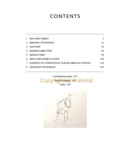 Drawing and Painting Birds