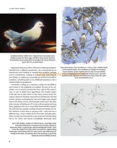 Drawing and Painting Birds Drawing and Painting Birds