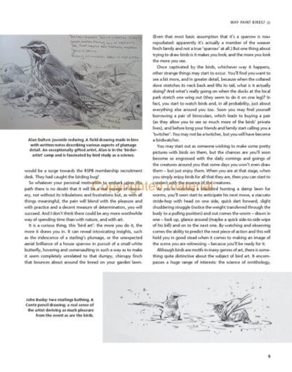 Drawing and Painting Birds