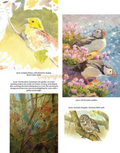 Drawing and Painting Birds Drawing and Painting Birds