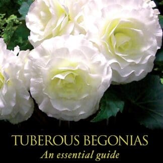 Tuberous Begonias (Hardback)