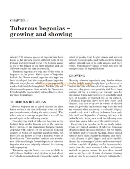 Tuberous Begonias