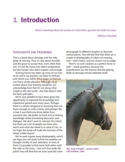 Understanding Dressage Training
