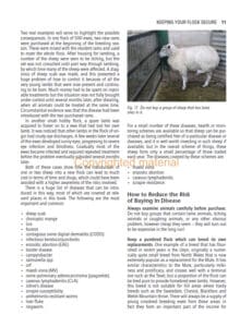 Sheep Health, Husbandry and Disease