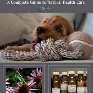 The Holistic Dog