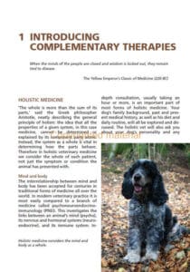 The Holistic Dog The Holistic Dog