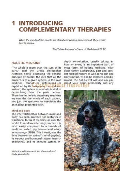 The Holistic Dog