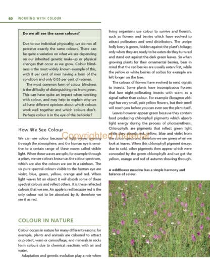 Planting Design Essentials