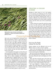 Planting Design Essentials Planting Design Essentials