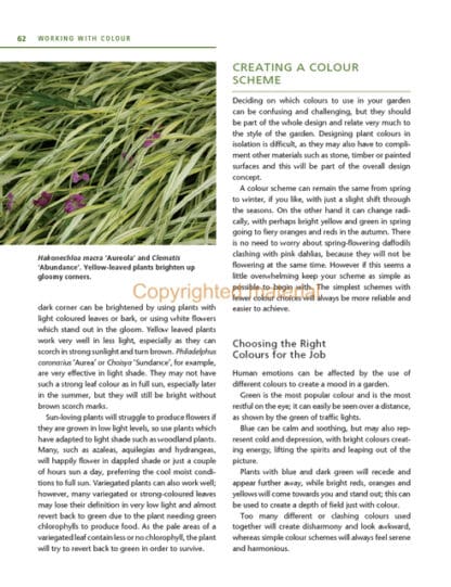 Planting Design Essentials