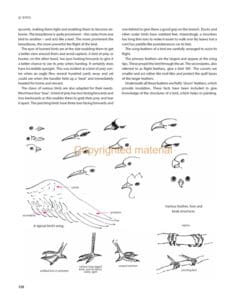 The Art of Chinese Brush Painting