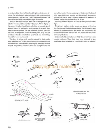 The Art of Chinese Brush Painting