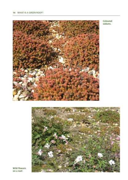 Green Roofs