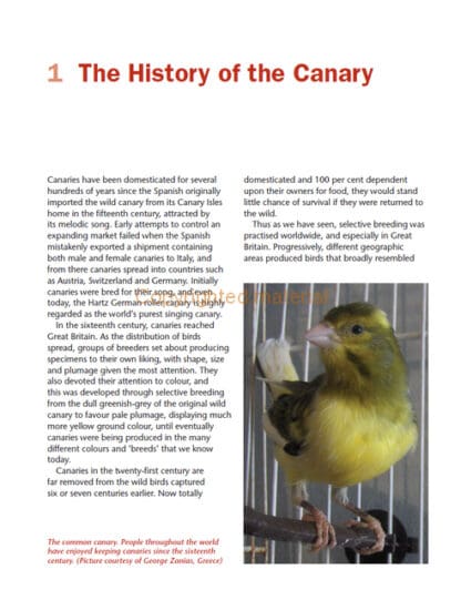 Keeping Canaries