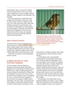 Keeping Canaries
