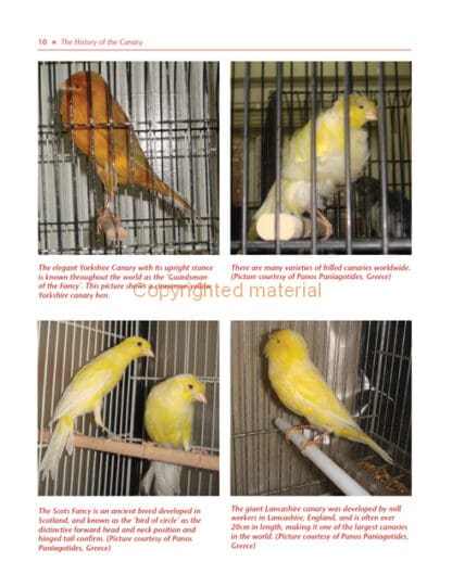 Keeping Canaries