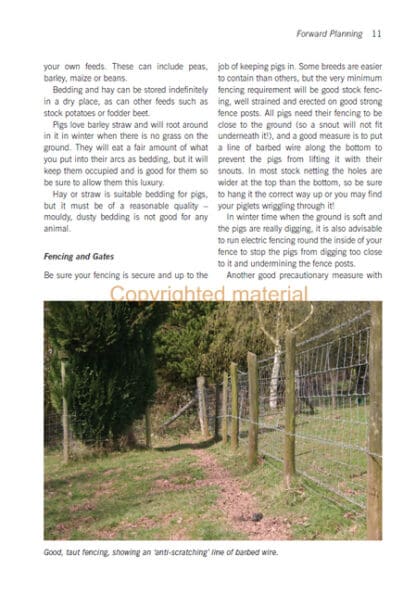 Small-scale Outdoor Pig Breeding
