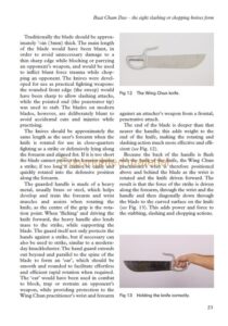 Wing Chun Kung Fu