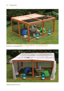 Practical Quail-keeping Practical Quail-keeping