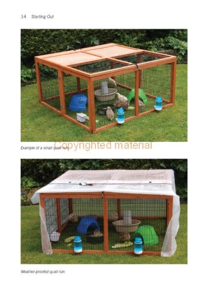Practical Quail-keeping