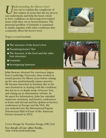 Understanding the Horse’s Feet
