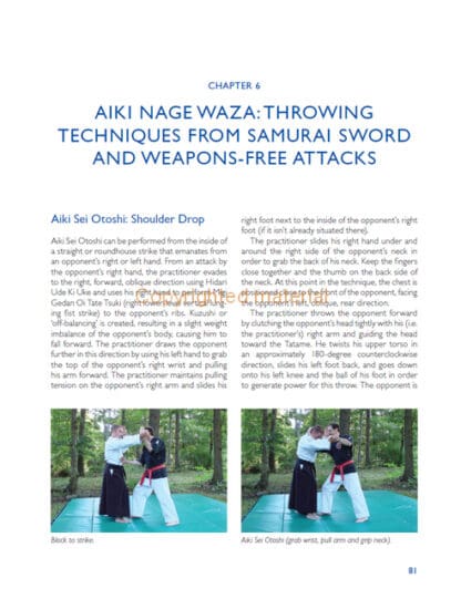 Aiki-Jujutsu