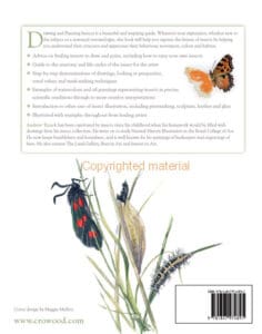 Drawing and Painting Insects Drawing and Painting Insects