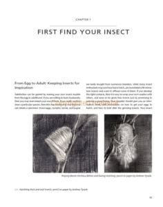 Drawing and Painting Insects Drawing and Painting Insects