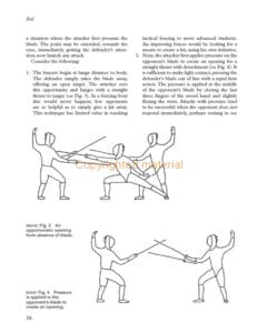 Advanced Fencing Techniques Advanced Fencing Techniques