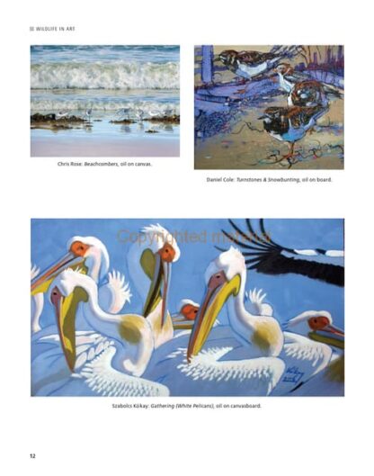 The Wildlife Artist’s Handbook