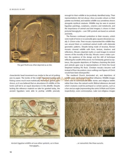 The Wildlife Artist’s Handbook