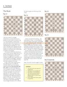Chess Chess
