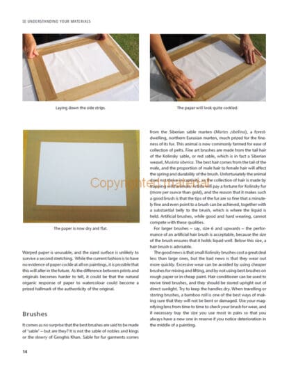 The Botanical Illustrator’s Handbook