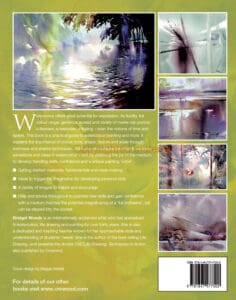 Painting Expressive Watercolour Painting Expressive Watercolour