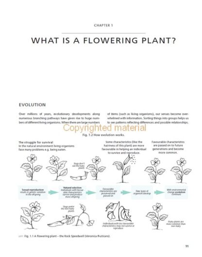 Understanding the Flowering Plants