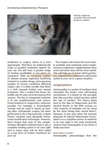 The Holistic Cat The Holistic Cat