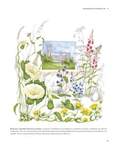Botanical Painting with Watercolour Botanical Painting with Watercolour