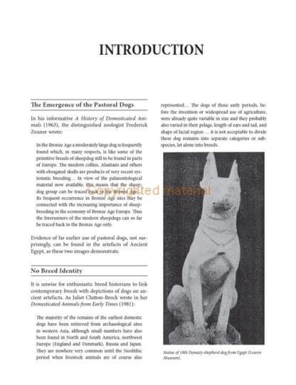 Dogs of the Shepherds