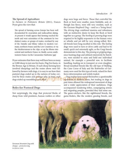 Dogs of the Shepherds