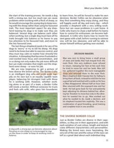 Barbara Sykes’ Training Border Collies Barbara Sykes’ Training Border Collies