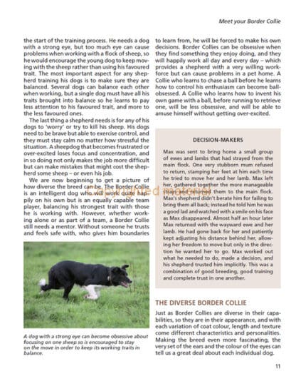 Barbara Sykes’ Training Border Collies