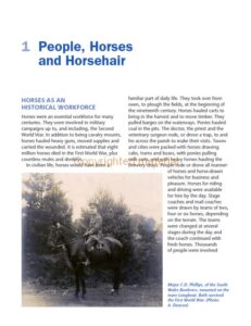 Understanding the Horse’s Skin and Coat