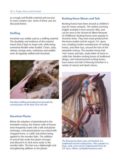 Understanding the Horse’s Skin and Coat