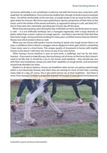 Performance Hoof, Performance Horse Performance Hoof, Performance Horse