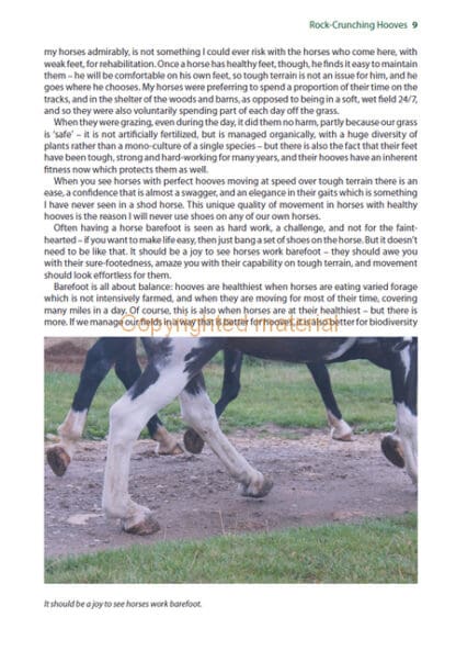 Performance Hoof, Performance Horse