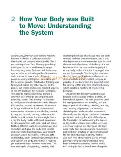 Biomechanics for the Equestrian