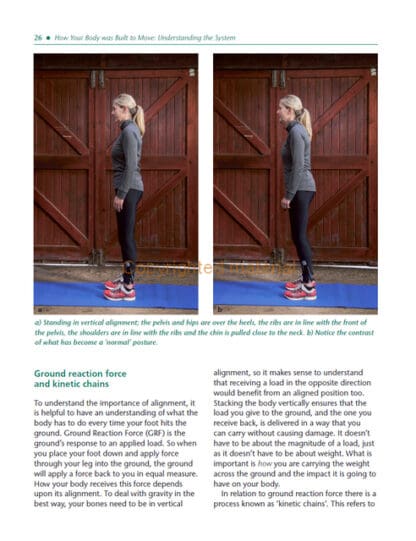 Biomechanics for the Equestrian