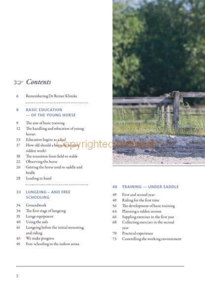 Basic Training of the Young Horse
